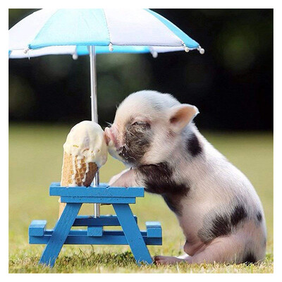 

UpperX DIY Diamond Painting Pigs Eat Ice Cream Full Diamond Embroidery Animal Square Drill Diamond Mosaic Craft Needlework 20x20cm