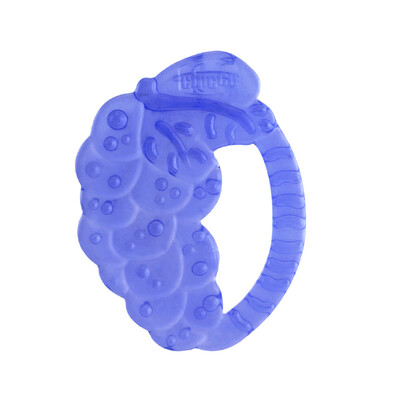 

Chicco fruit type silicone tooth gel 2M