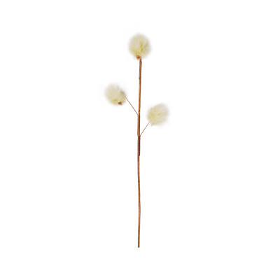 

Tiantian cat rice white imitation branches feathers funny cats cat toys cat supplies