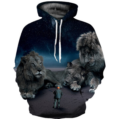

QL-522 Mens Hoodie 3D Printed Women Pullover Sweater
