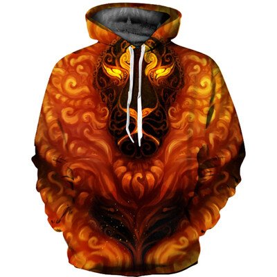 

QL-487 Mens Hoodie 3D Printed Women Pullover Sweater