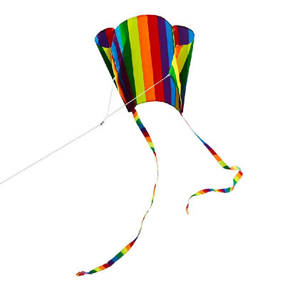 

Colorful Parafoil Kite with 200cm Tails 30m Flying Line Outdoor Soft Fly Kite