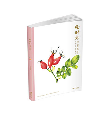 

绘时光 清新果子