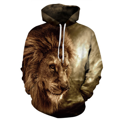 

QYDM0288Mens Hoodie 3D Printed Women Pullover Sweater