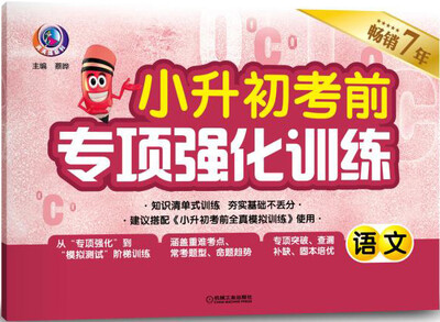 

小升初考前专项强化训练 语文（第4版）