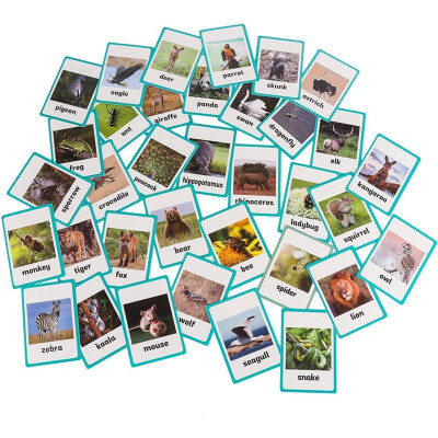 

46 pc-Wild Animals&Insects Flash Cards-English word learning card&pocket size flash card for Preschool children