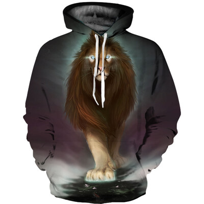 

QL-472 Mens Hoodie 3D Printed Women Pullover Sweater