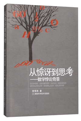 

从惊讶道思考：数学桲论奇景