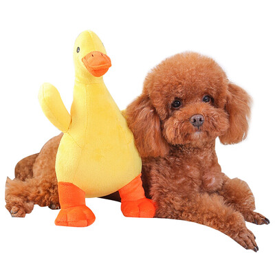

Huayuan pets hoopet dog toy plush bite-sounding vocal small dog puppies fighting Teddy VIP accompanying sleeping pet supplies