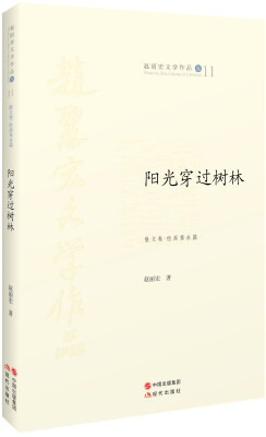 

阳光穿过树林