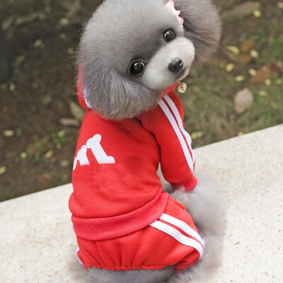 

Winter Warm Pet Dog Clothes Wear Jacket Cotton Small Pet Dog Clothes for Dog Jumpsuit Coat Clothing For Dogs Sportswear Hoodie