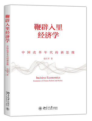 

鞭辟入里经济学——中国改革年代的新思维