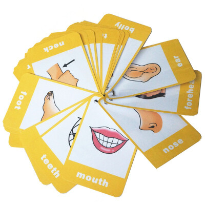 

24 Parts of My Body Parts Flash Cards-English word learning card & pocket size flash card for children&Preschool12x9cm