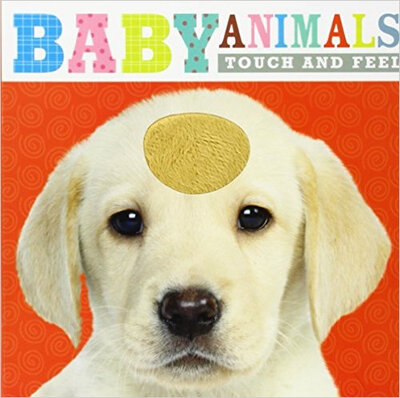 

Touch And Feel Baby Animals