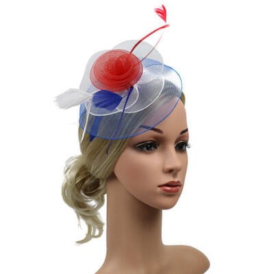 

Women Fascinator Feather Hat Mesh Net Elegent Handcraft Hair Clip Bride Veil