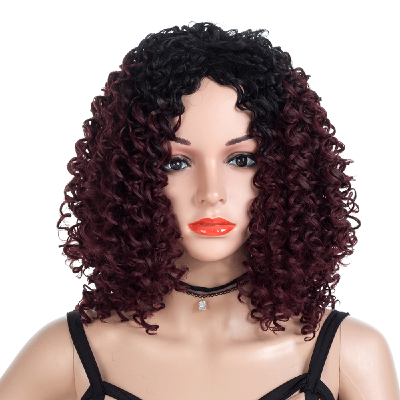 

Kanekalon Wigs Long Afro Kinky Curly Wig Ombre Natural Black To Light Blonde Synthetic Wigs for Black Women African Hairstyle