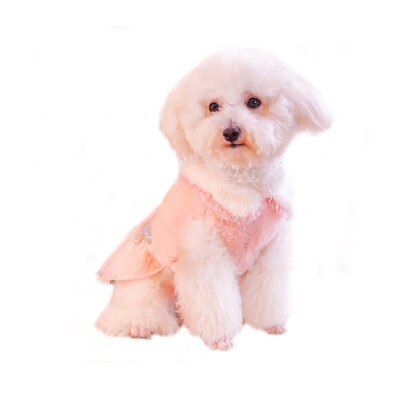 

Huayuan favors hoopet dog clothes thick warm baby doll collar princess lace skirt pet clothes XL