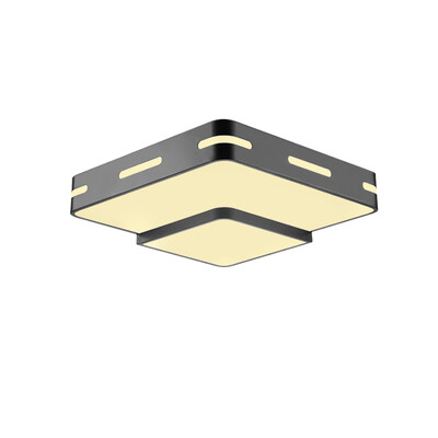 

JX725 - 32W - WW Warm White Ceiling Lamp AC 220V