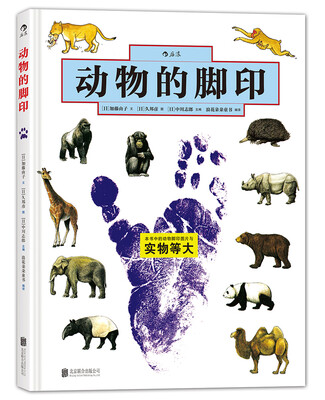 

动物的脚印