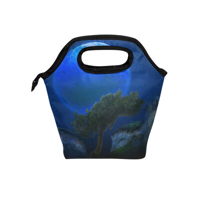 

Lunch Bag Blue Moonshine Tote Travel Picnic Insulated Handbags Portable Zipper Lunch Bag Box