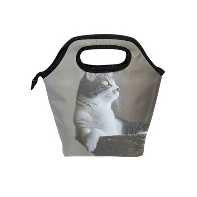 

Lunch Bag Leisurely Cat Tote Travel Picnic Insulated Handbags Portable Zipper Lunch Bag Box
