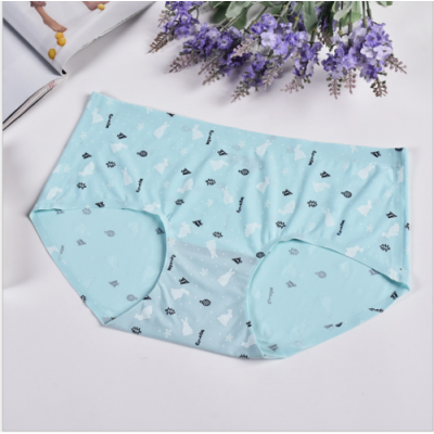 

New Women Seamless Underpants Lingerie Briefs Hipster Underwear Panties Knickers