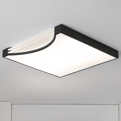 

MY028 - 48W - WJ Promise Dimming Ceiling Lamp AC 220V