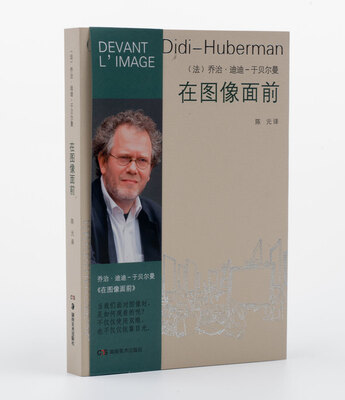 

艺术与文化译丛：在图像面前