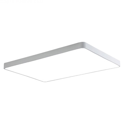 

LED Ceiling lamp ZM1711-1009