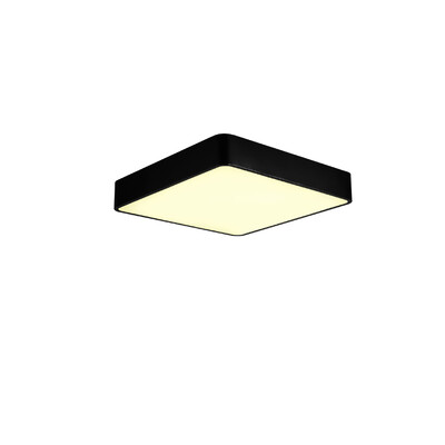 

JX759 - 24W - WJ Promise Dimmable Ceiling Light AC 220V