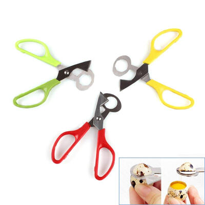 

UpperX 1 Pcs Pigeon Quail Egg Scissor Bird Cutter Opener Kitchen Tool ClipperColor Random by
