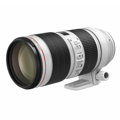 

Canon EF 70-200mm f28L IS III USM