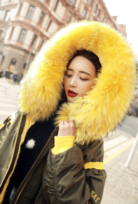 

The 2018 winter new large fur collar embroidery pike down jacket in the long style womens thickened loose big pendulum small jack