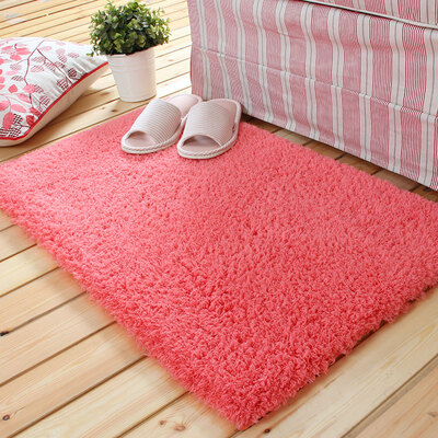 

FOOJO CarpetThick 4cmNon-slip matDoor-mat4060cm