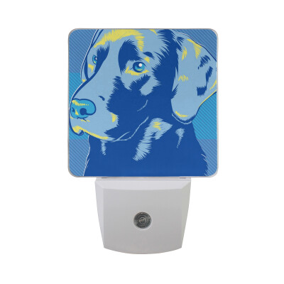 

ALAZA LED Night Light With Smart Dusk To Dawn SensorCollie Animal Dog Watercolor Illustration Plug In Night Light