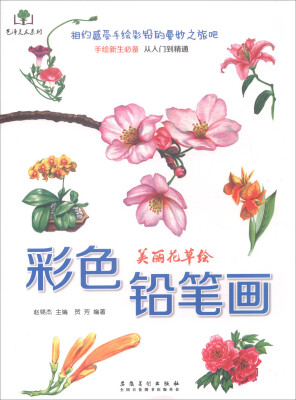 

艺泽美术系列：彩色铅笔画 美丽花草绘