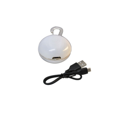 

Yeshold Decorating Pet Nightlights Warning Recharging Pendant