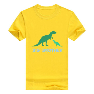 

Cute Big Brother Dinosaur T-Shirt Funny T-Rex Animal Tee