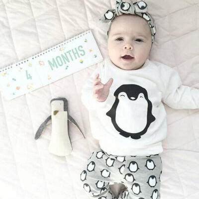 

US Toddler Kids Baby Boy Girls Clothes T-shirt SweatshirtPants Outfits 2PCS Set