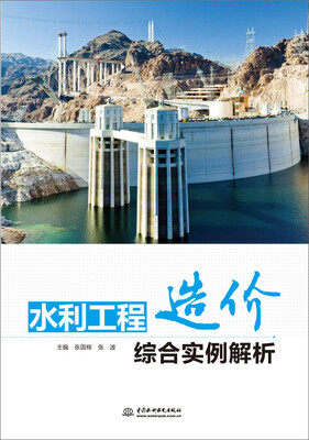 

水利工程造价综合实例解析