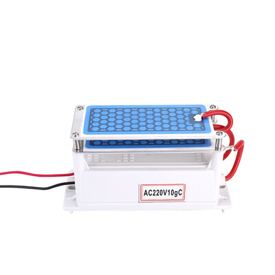 

Portable 10gh Ceramic Ozone Generator Double Integrated Plate Ozonizer Water Air Purifier For Chemical Factory