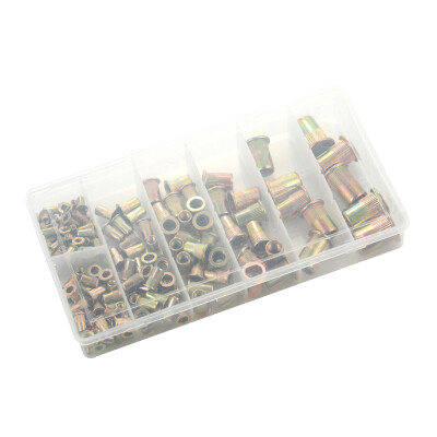 

165pcs Mixed Zinc Plated Carbon Steel Rivet Nut Kit M345681012 Boxed Suit