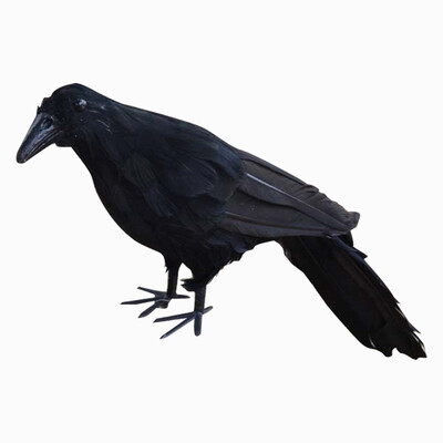 

UpperX Realistic New Black Raven Feathered Crow Halloween Fancy Dress Prop Accessory