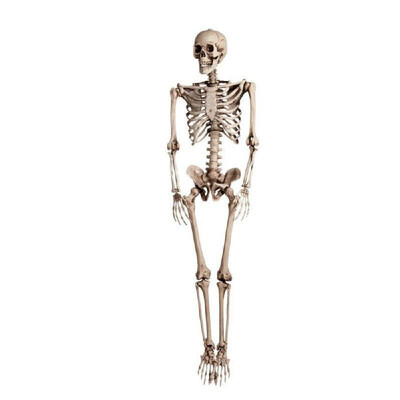 

Halloween Simulation Hanging Skeleton Human Body Bone Creepy Man Skull Haunted House Room Escape Horror Props Decoration