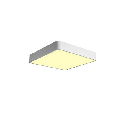 

JX759 - 24W - WJ Promise Dimmable Ceiling Light AC 220V