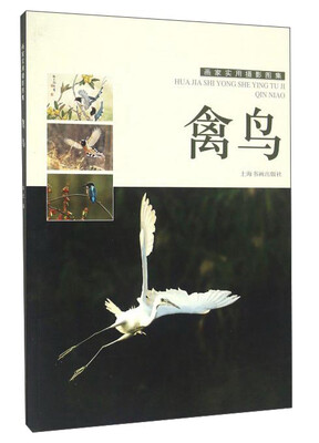 

禽鸟