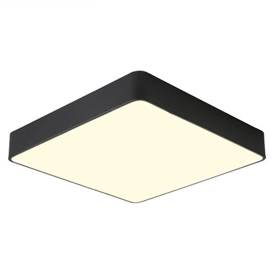

LED Ceiling lamp ZM1711-1009