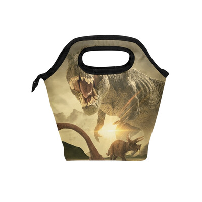 

Lunch Bag Tote Bag Dinosaur Travel Picnic Organizer Lunch Holder Handbags Lunch Bag Box