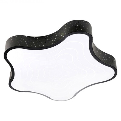 

LED Ceiling lamp ZM1711-1056