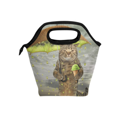 

Insulated Lunch Tote Bag Kiwi Fruit Cat Travel Picnic Lunch Handbags Portable Zipper Lunch Bag Box